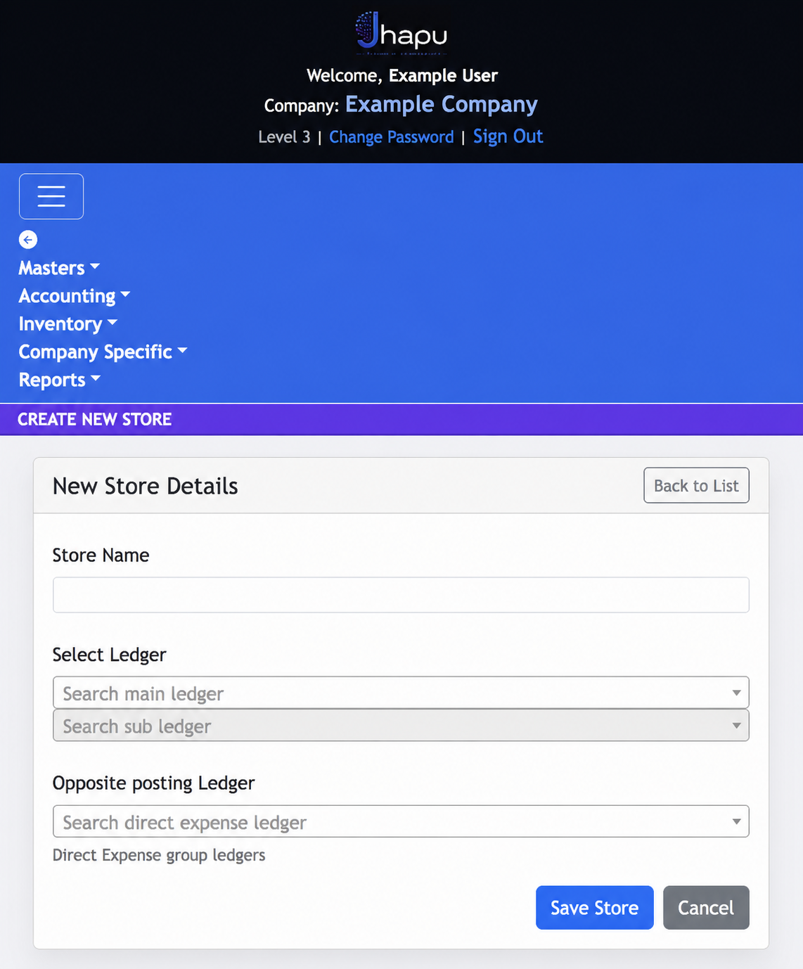Example Create New Store form with store name and ledger selections